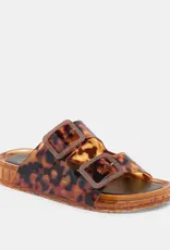 J.HOFFMAN'S Julio- Tortoise Vinyl