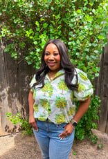 J.HOFFMAN'S Lemon Tree Top