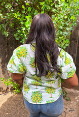J.HOFFMAN'S Lemon Tree Top