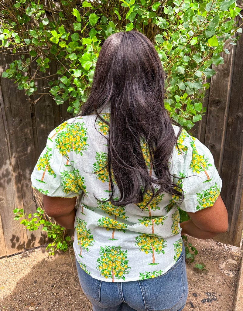 J.HOFFMAN'S Lemon Tree Top