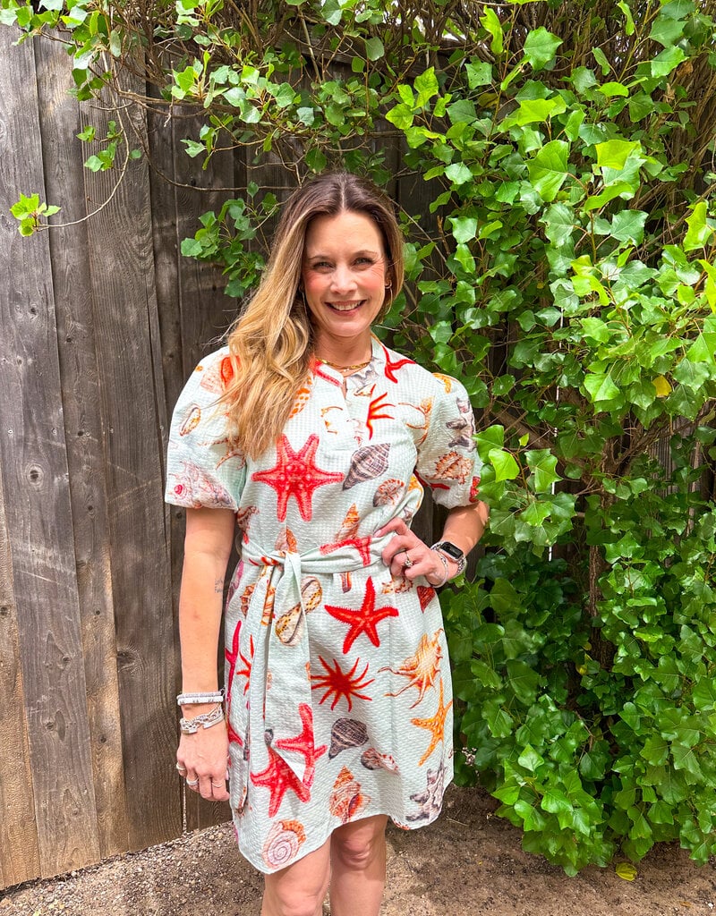 J.HOFFMAN'S Toni Dress- Aqua