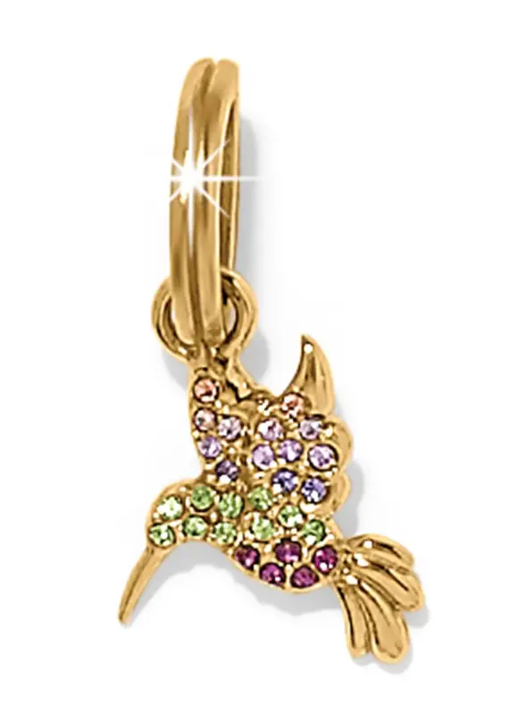 Enchanting Gem Humming Bird Charm