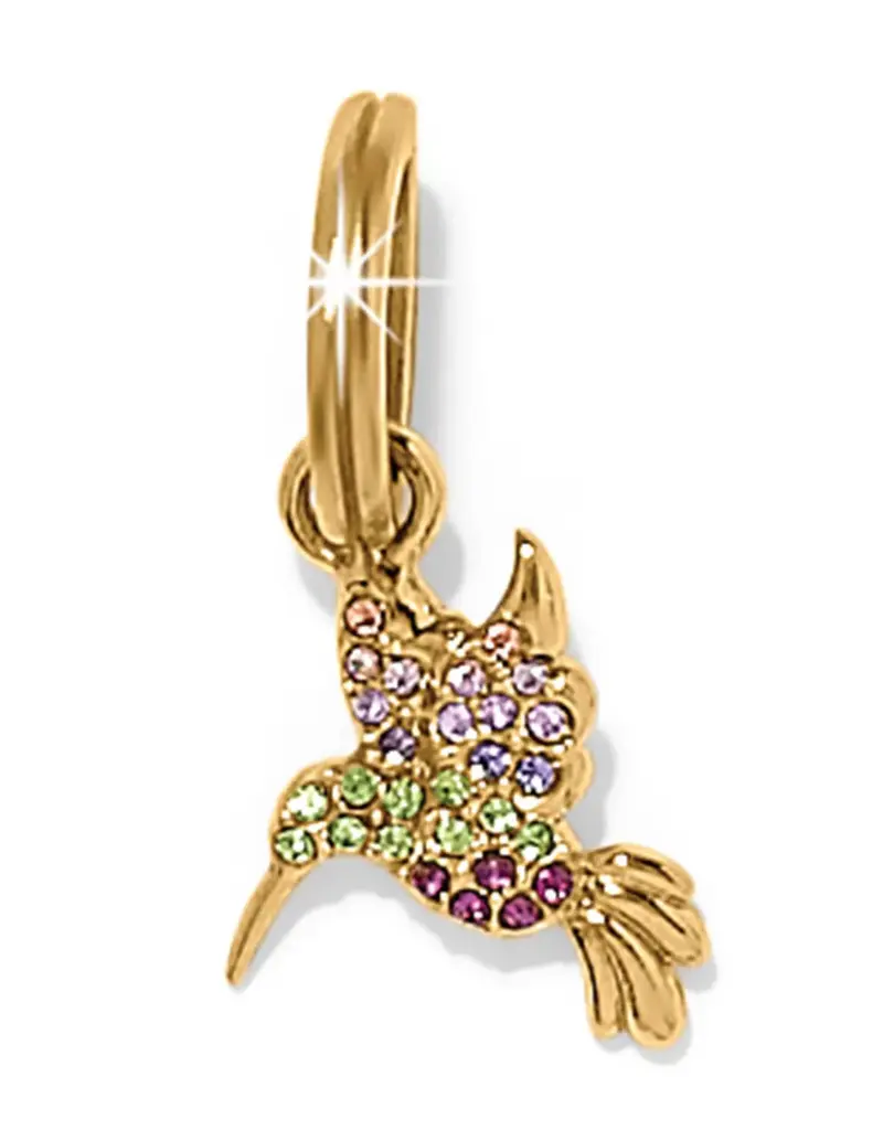 Enchanting Gem Humming Bird Charm