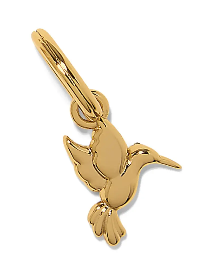 Enchanting Gem Humming Bird Charm