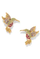 Enchanting Gem hummingbird Post