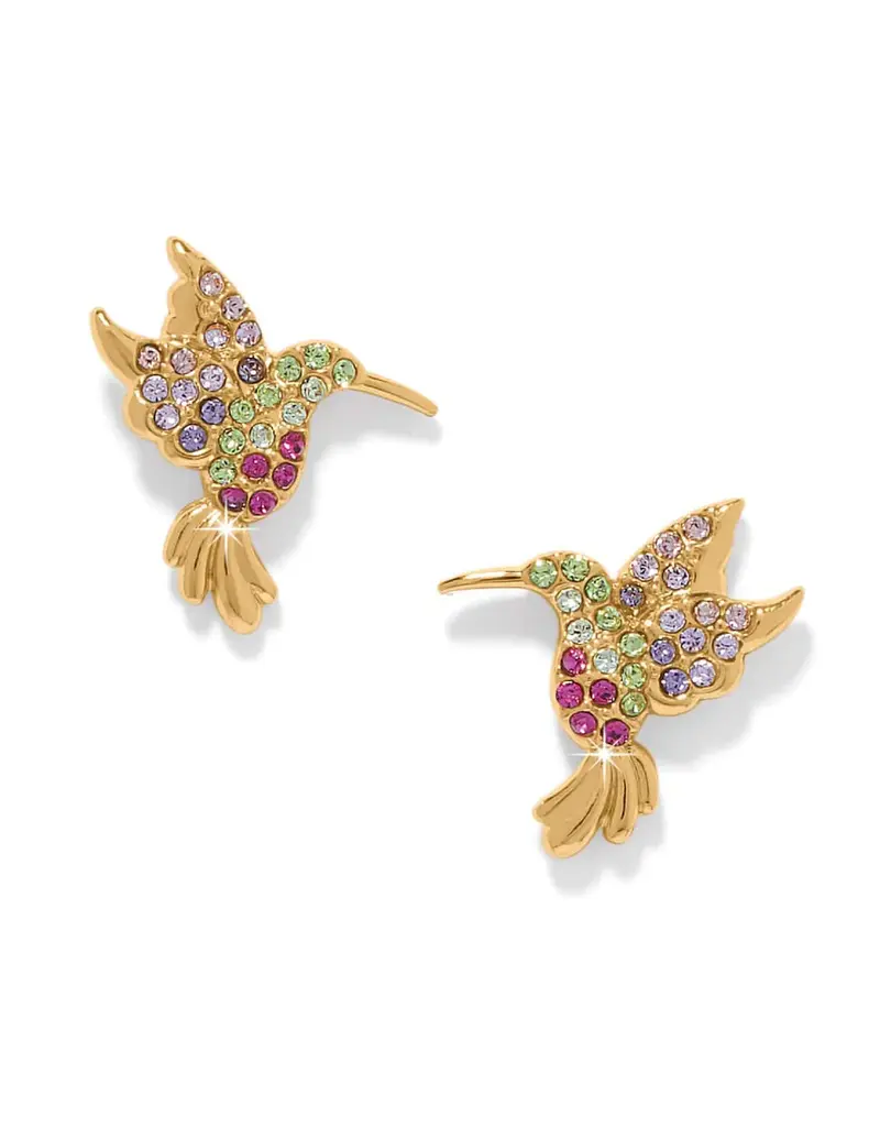 Enchanting Gem hummingbird Post