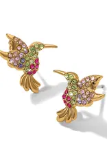 Enchanting Gem hummingbird Post