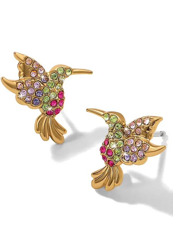 Enchanting Gem hummingbird Post