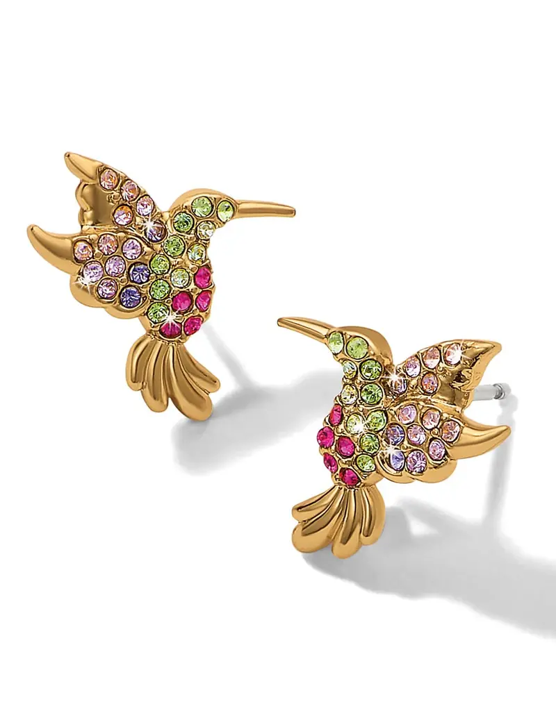 Enchanting Gem hummingbird Post