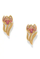 Enchanting Gem Tulip Post