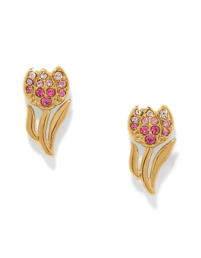 Enchanting Gem Tulip Post