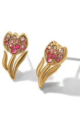 Enchanting Gem Tulip Post