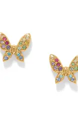 Enchanting Gem Butterfly Post