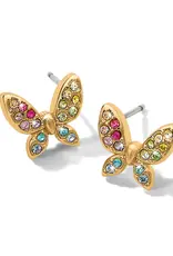 Enchanting Gem Butterfly Post