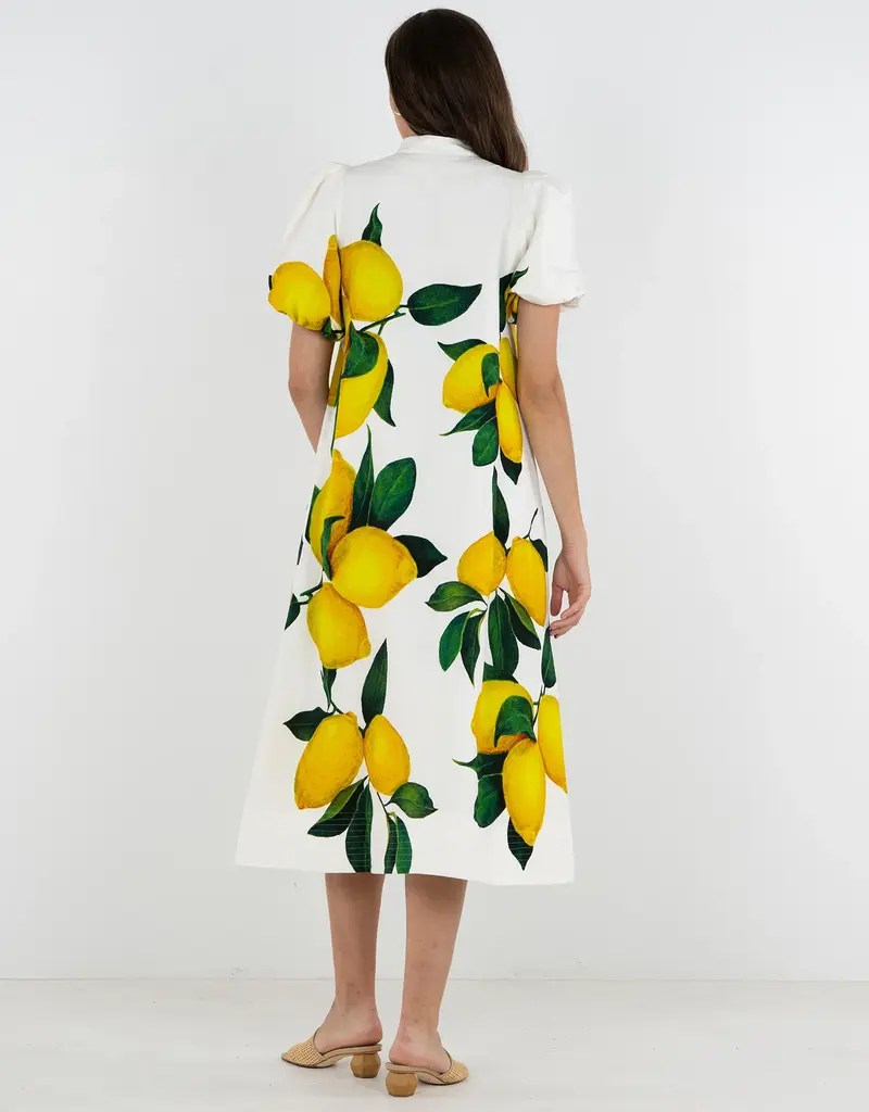 J.HOFFMAN'S Hampton Dress- Limone