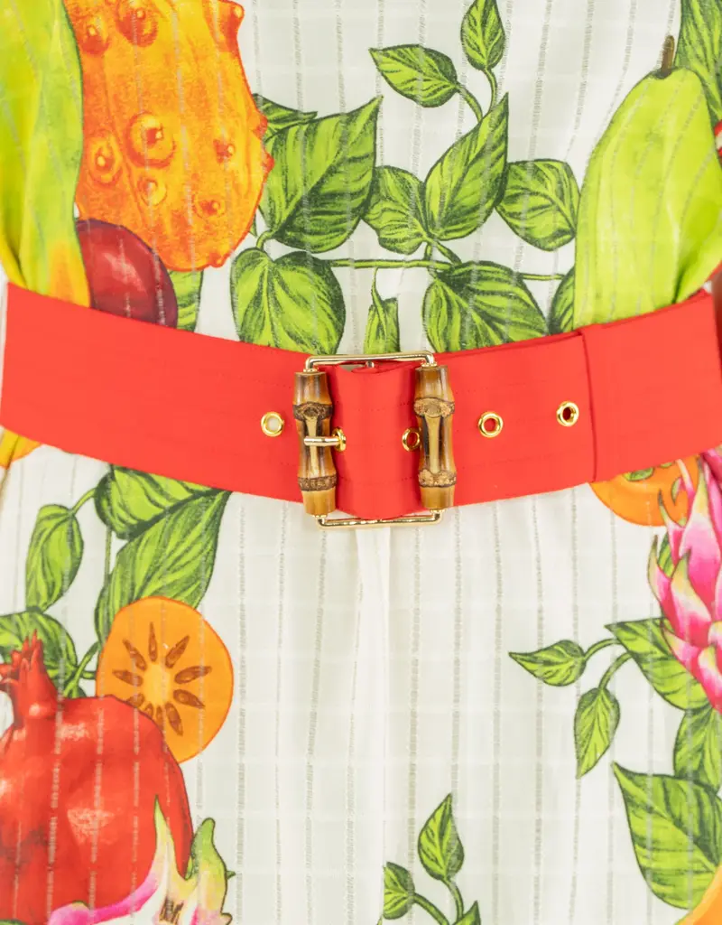 J.HOFFMAN'S Roma Dress- Trellis Grove