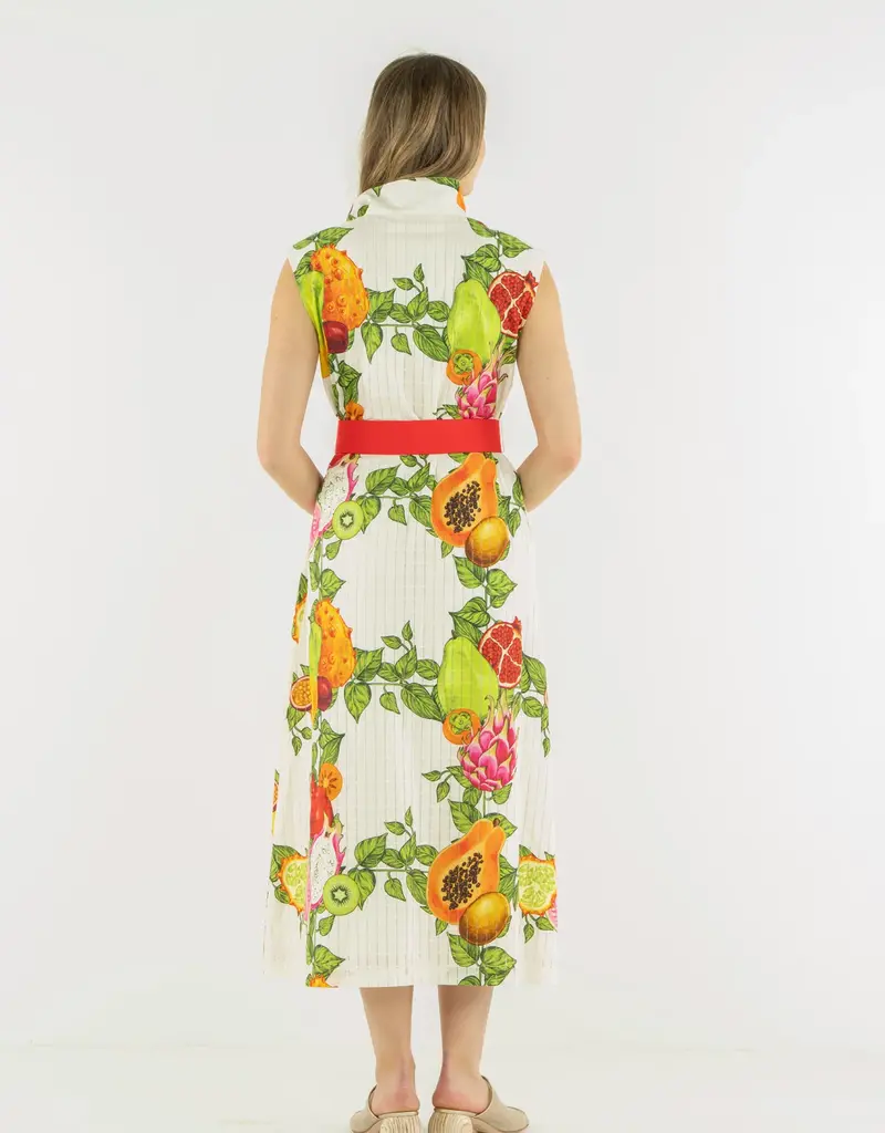 J.HOFFMAN'S Roma Dress- Trellis Grove