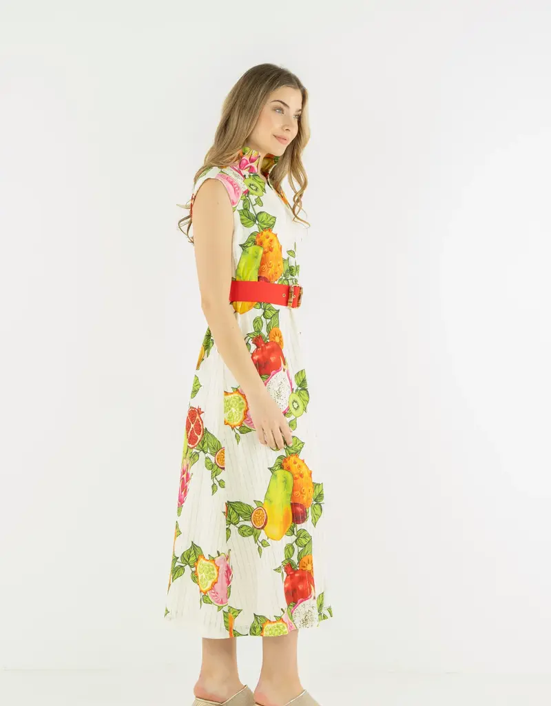 J.HOFFMAN'S Roma Dress- Trellis Grove