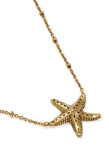KENDRA SCOTT Parker Starfish Metal Necklace