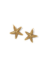 KENDRA SCOTT Parker Starfish Metal Stud Earrings
