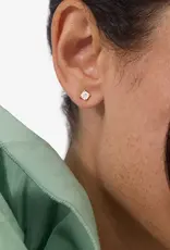 J.HOFFMAN'S Queens 4mm Studs