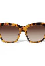 Fashionista Love Sunglass