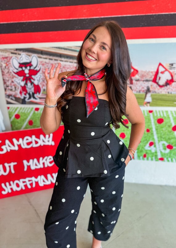 J.HOFFMAN'S Skinny Scarf- Texas Tech Red Raiders