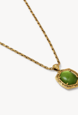 KENDRA SCOTT Tiger Stripe Daphne Long Necklace in Gold