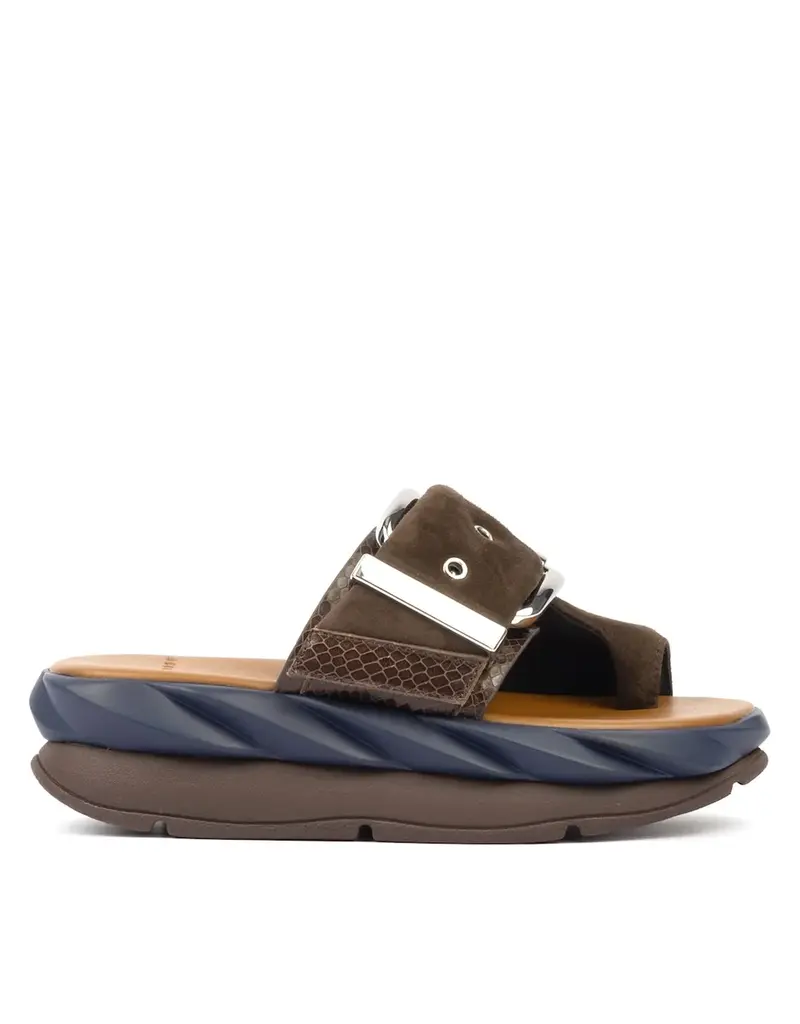 J.HOFFMAN'S Mellow Glow Kid Suede in Choco