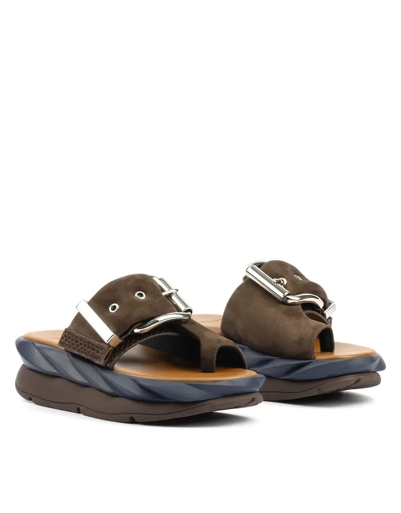 J.HOFFMAN'S Mellow Glow Kid Suede in Choco