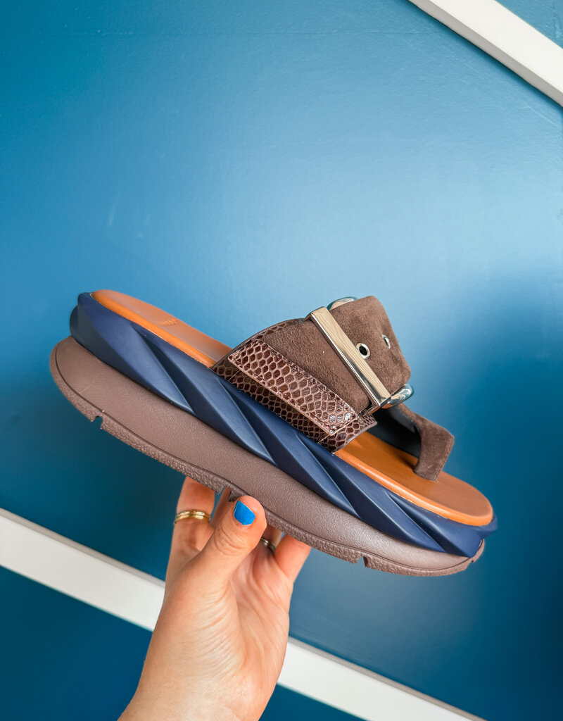 J.HOFFMAN'S Mellow Glow Kid Suede in Choco