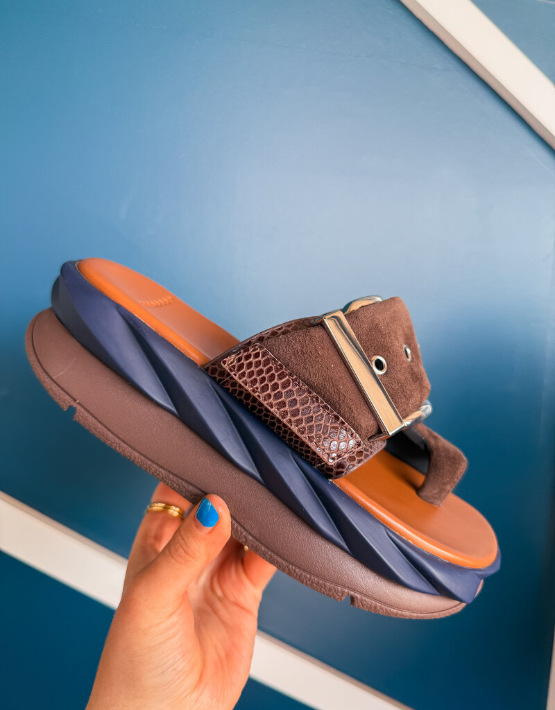 J.HOFFMAN'S Mellow Glow Kid Suede in Choco