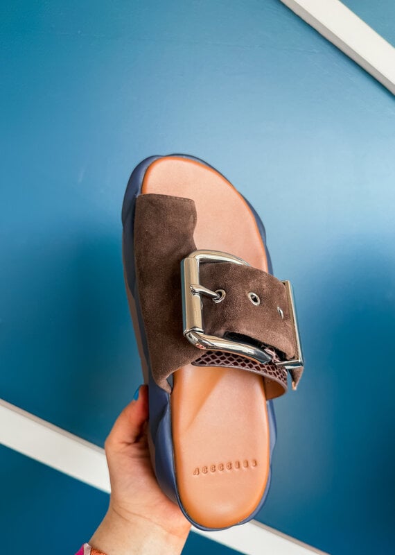 J.HOFFMAN'S Mellow Glow Kid Suede in Choco