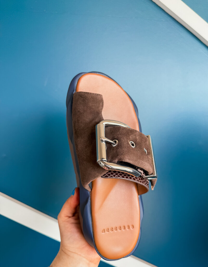 J.HOFFMAN'S Mellow Glow Kid Suede in Choco