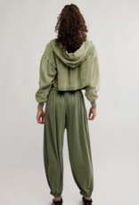 J.HOFFMAN'S FPM Momentum Pant in Ivy