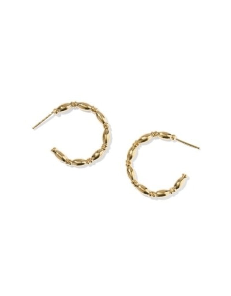 KENDRA SCOTT Miriam Small Bead 14k Gold-Filled Hoop Earrings