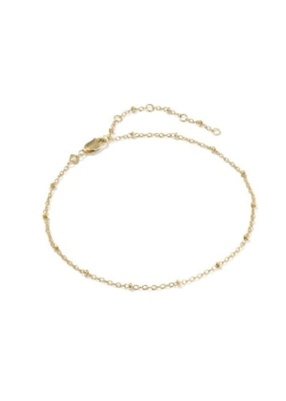 KENDRA SCOTT Evelyn 14k Gold-Filled Single Satellite Chain Anklet
