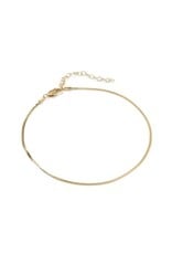 KENDRA SCOTT Herringbone 14k Gold-Filled Chain Anklet