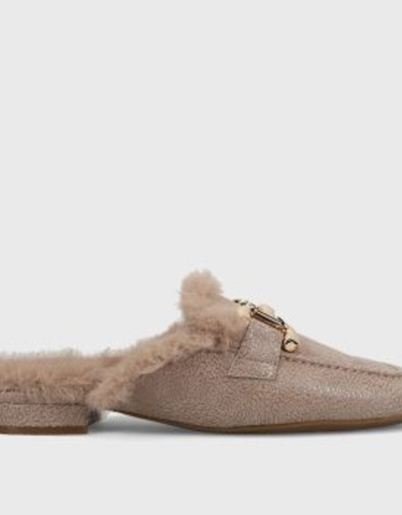 J.HOFFMAN'S Skylar in Taupe