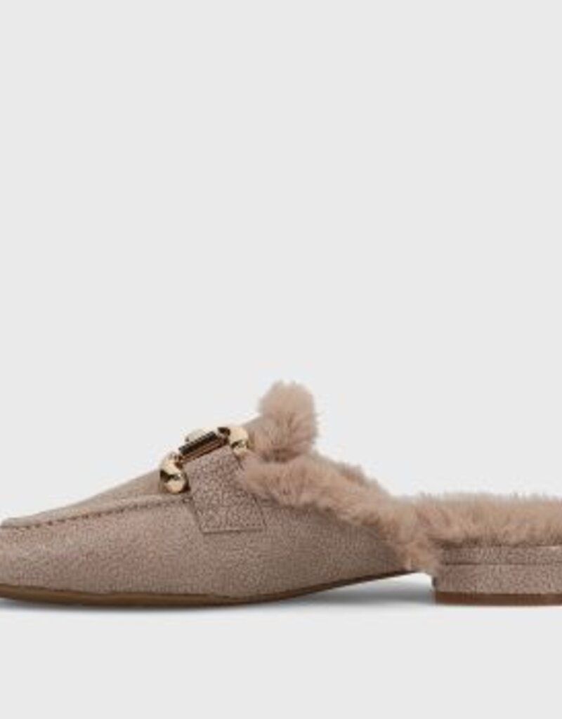 J.HOFFMAN'S Skylar in Taupe