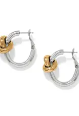 Interlok Single Knot Two Tone Hoop