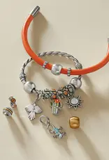 Mesa Gecko Charm