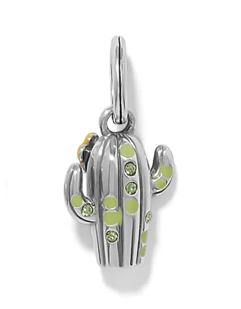 Desert Bloom Cactus Charm