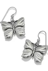 Natura Butterfly French Wire