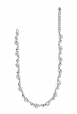 Meridian Stargazer Collar