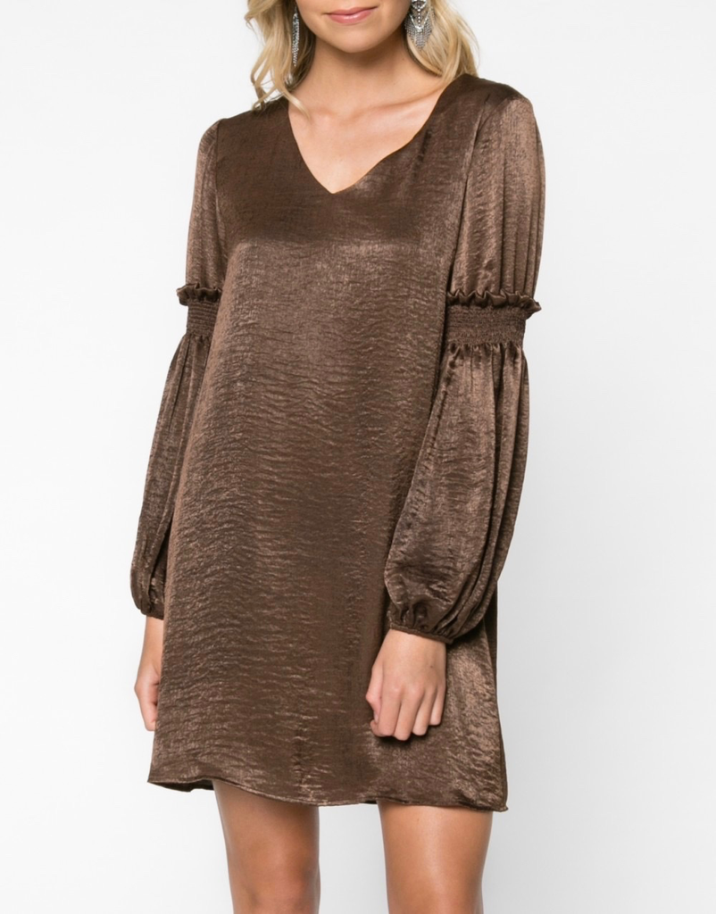 Everly Shiny Shift Dress