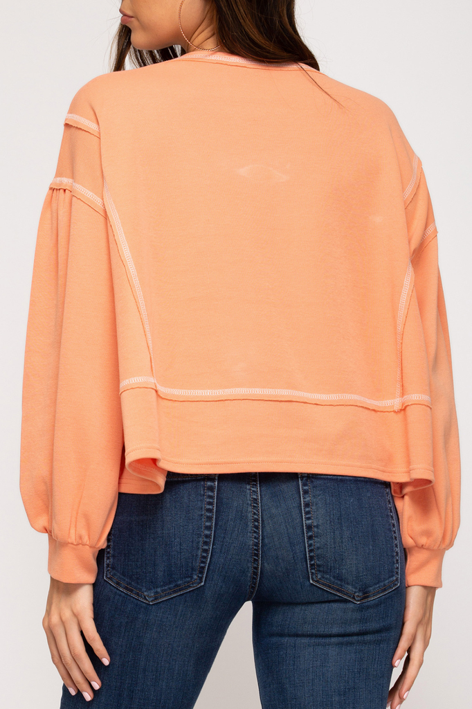 She & Sky Reverse stitch sweatshirt