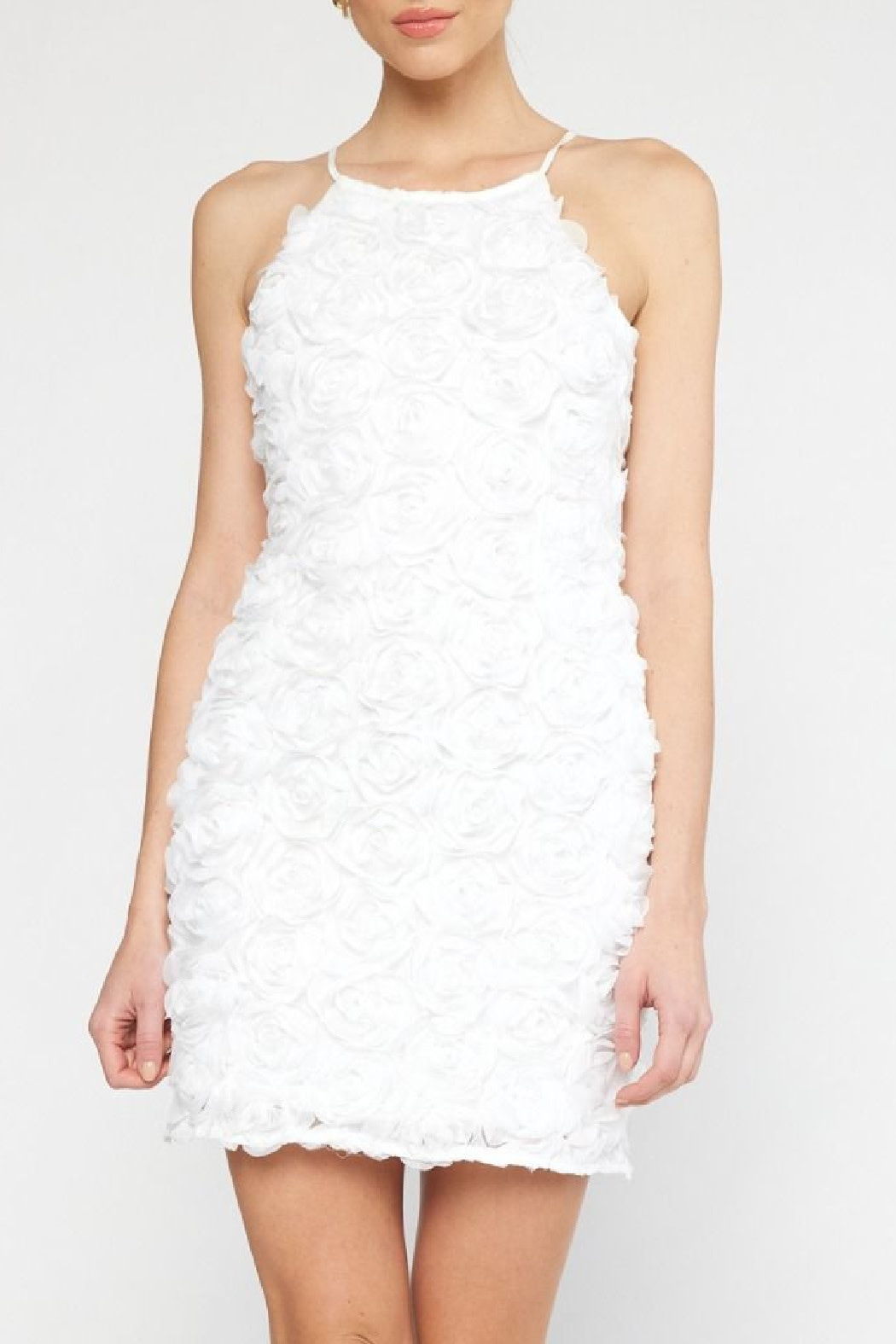 Entro Floral Applique Dress