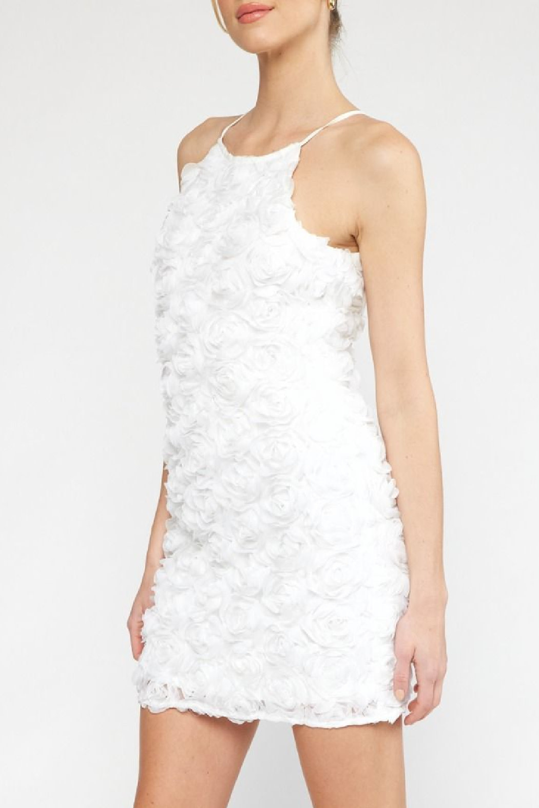 Entro Floral Applique Dress