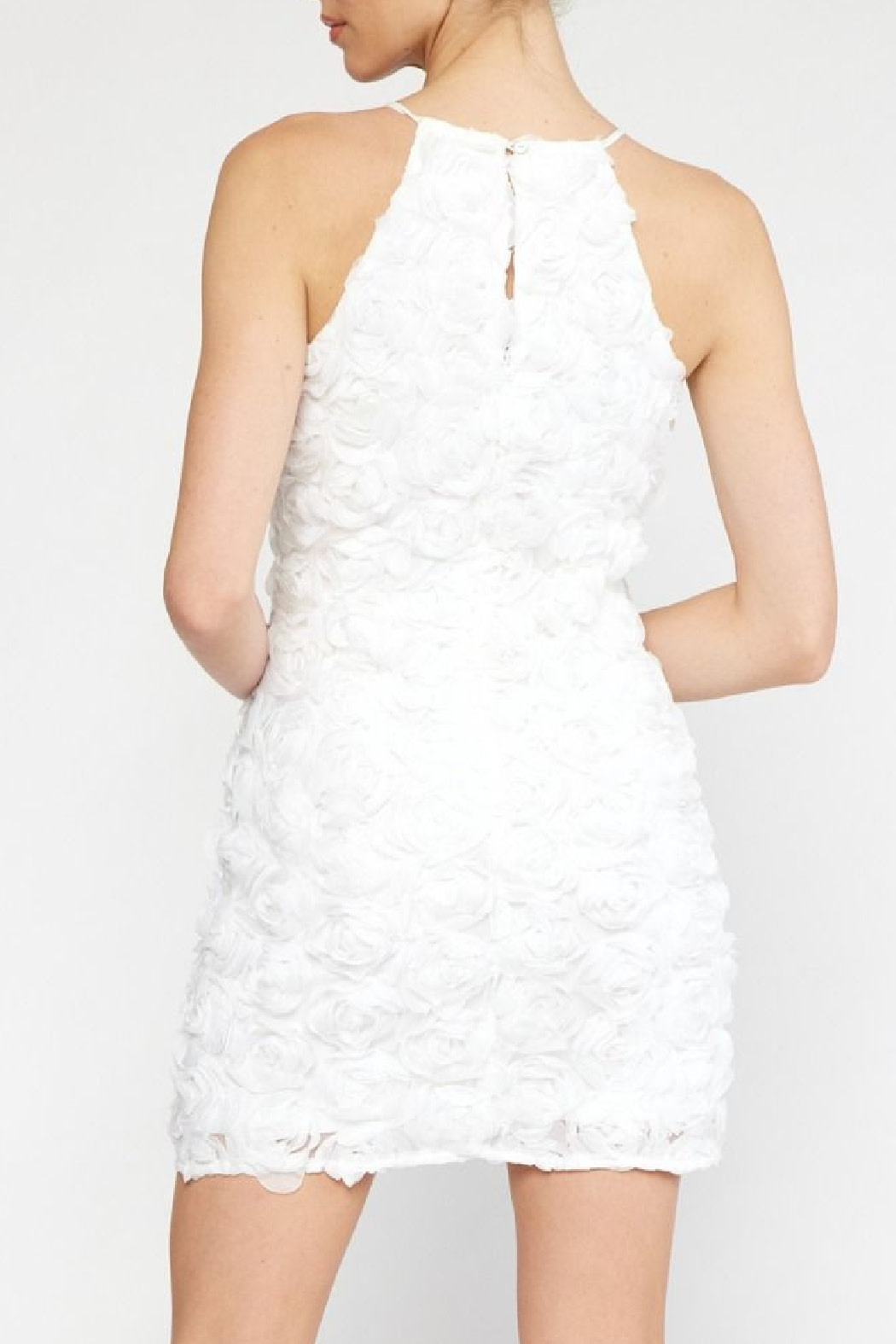 Entro Floral Applique Dress